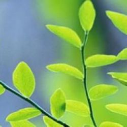 políticas de medio ambiente Ashumer